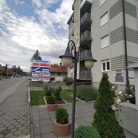 Apartmani - Vila Kovilje Banja Koviljaca Exterior photo